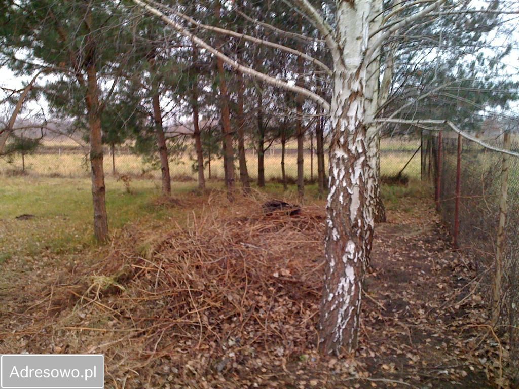 Działka rolno-budowlana Grodzisk Mazowiecki, ul. Przeskok. Zdjęcie 2