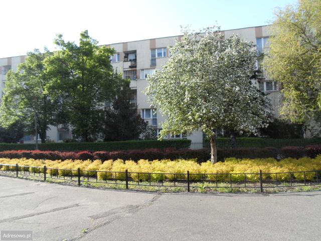 Mieszkanie 3-pokojowe Warszawa Praga-Północ, ul. Ząbkowska. Zdjęcie 1