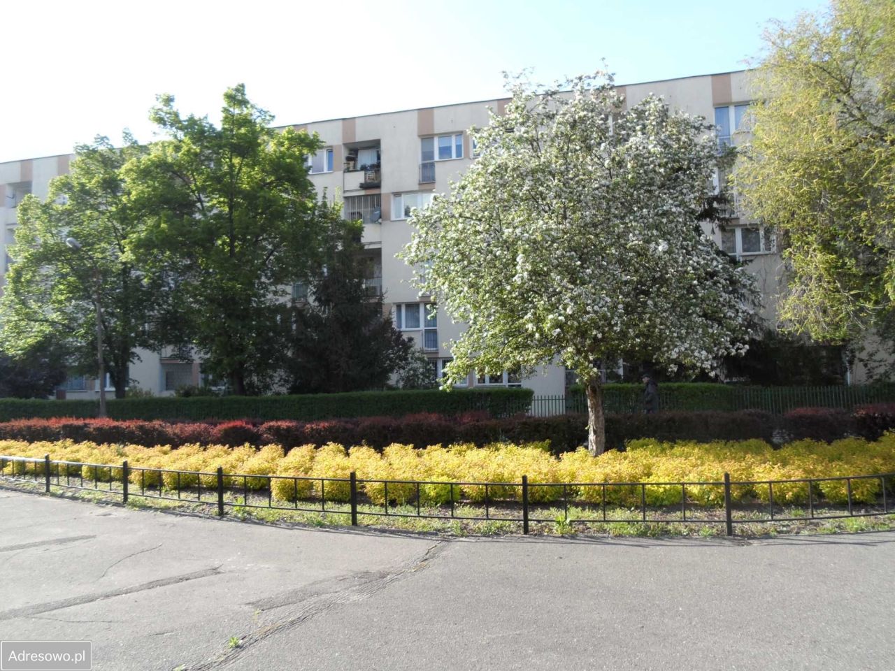 Mieszkanie 3-pokojowe Warszawa Praga-Północ, ul. Ząbkowska