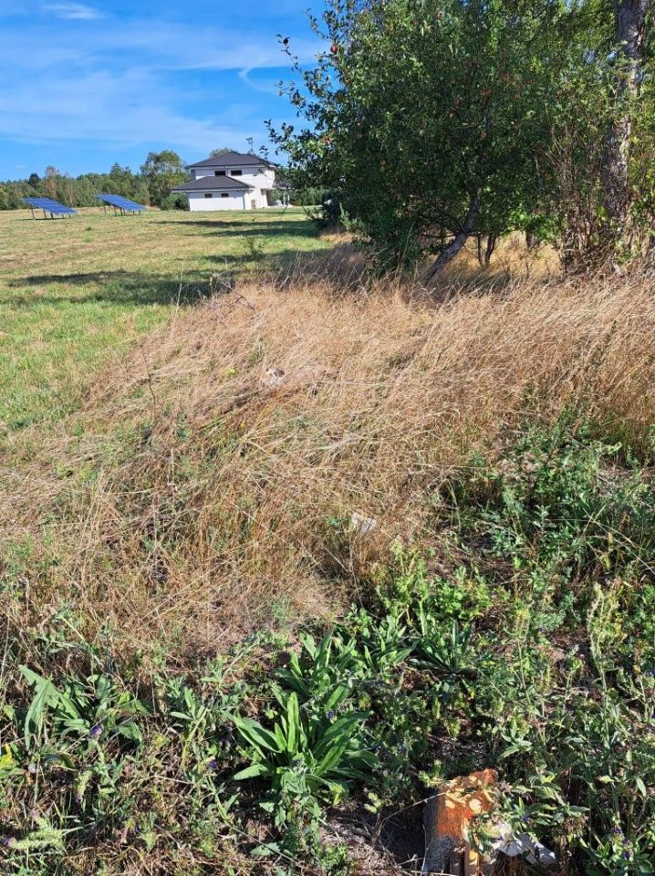 Działka budowlana Wielbark, ul. Akacjowa. Zdjęcie 3