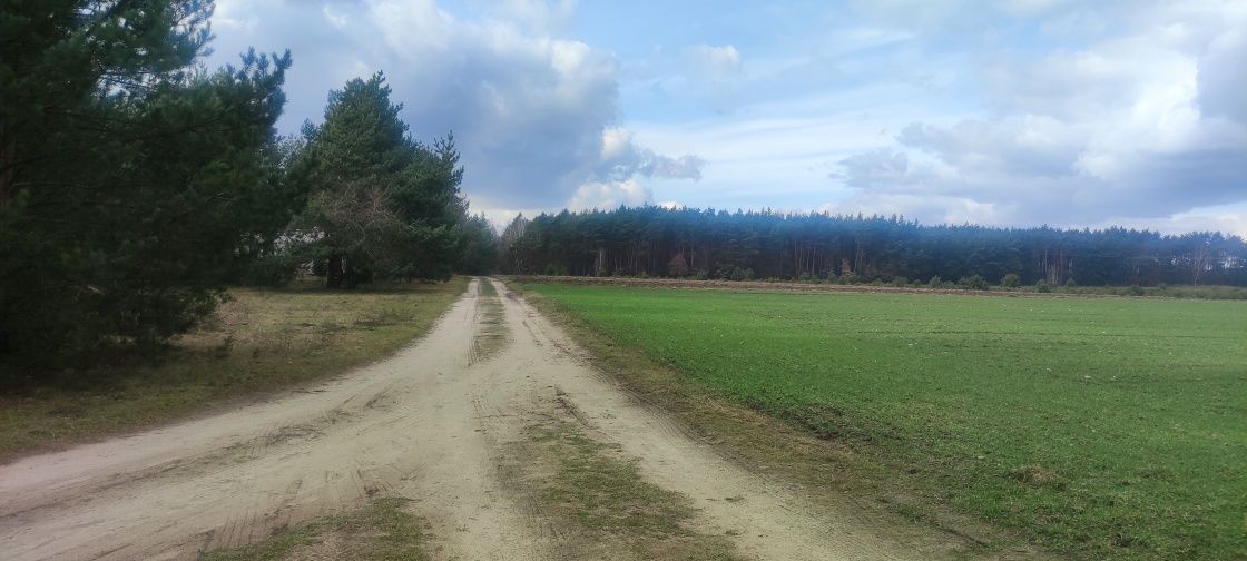 Działka rekreacyjna Siedlątków. Zdjęcie 6