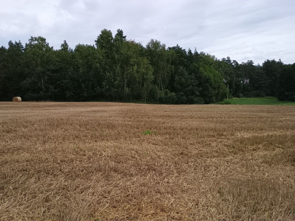Działka rolno-budowlana Franciszkowo. Zdjęcie 2