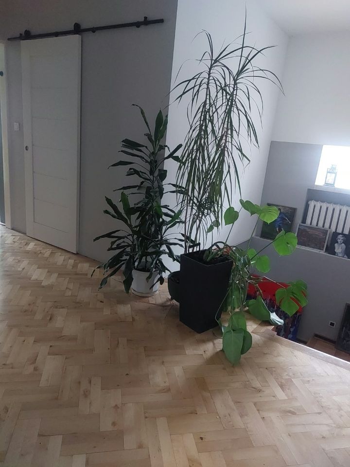 dom wolnostojący, 6 pokoi Częstochowa Zawodzie, ul. Marysia. Zdjęcie 53