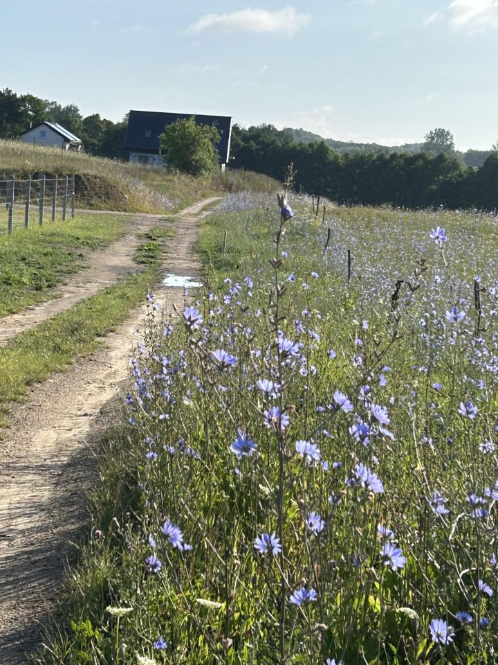 dom wolnostojący, 4 pokoje Drawsko Pomorskie, Nieokreślona. Zdjęcie 19