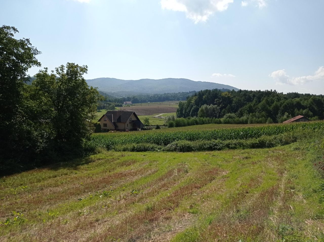 Działka budowlana Kierlikówka Orzechówka. Zdjęcie 3