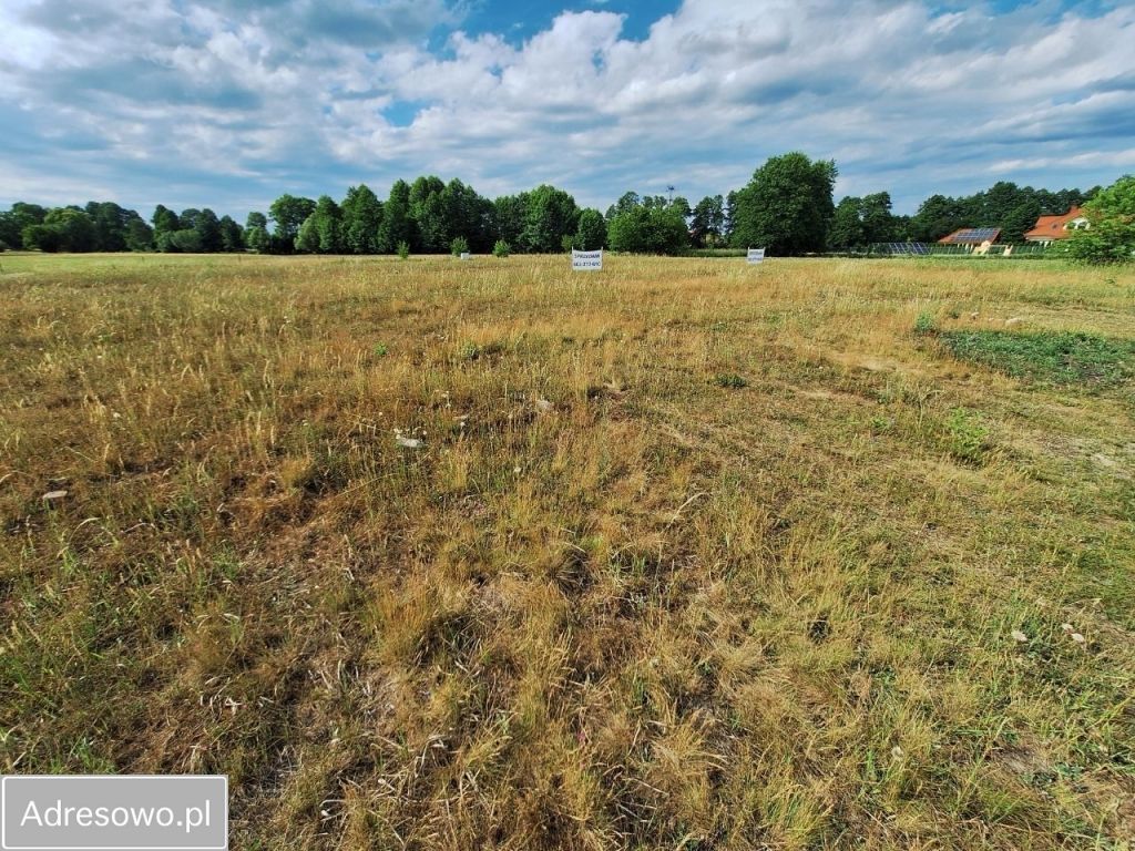 Działka budowlana Józefów, ul. Strużańska. Zdjęcie 4