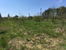 Działka budowlana Sokołów Podlaski, ul. Olszowa. Zdjęcie 1