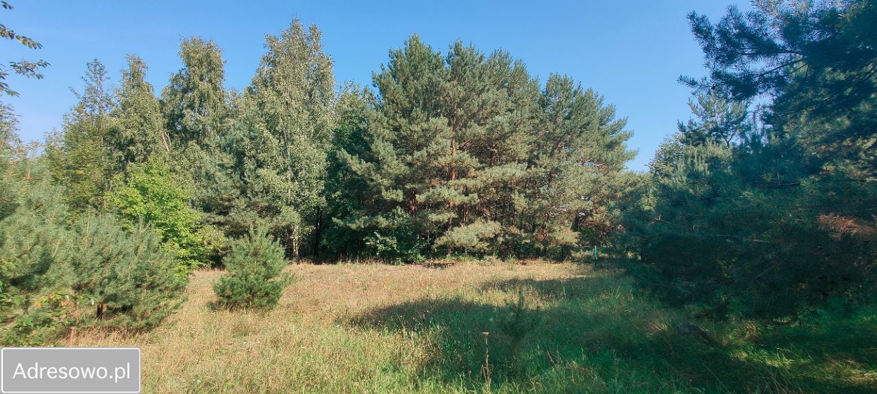 Działka siedliskowa Postolin. Zdjęcie 3