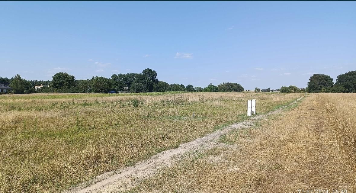 Działka budowlana Pamiątkowo, ul. Szamotulska. Zdjęcie 3