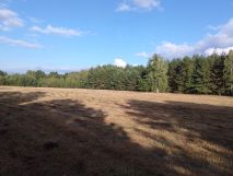 Działka budowlana Franciszków, ul. Jarzębinowa. Zdjęcie 2