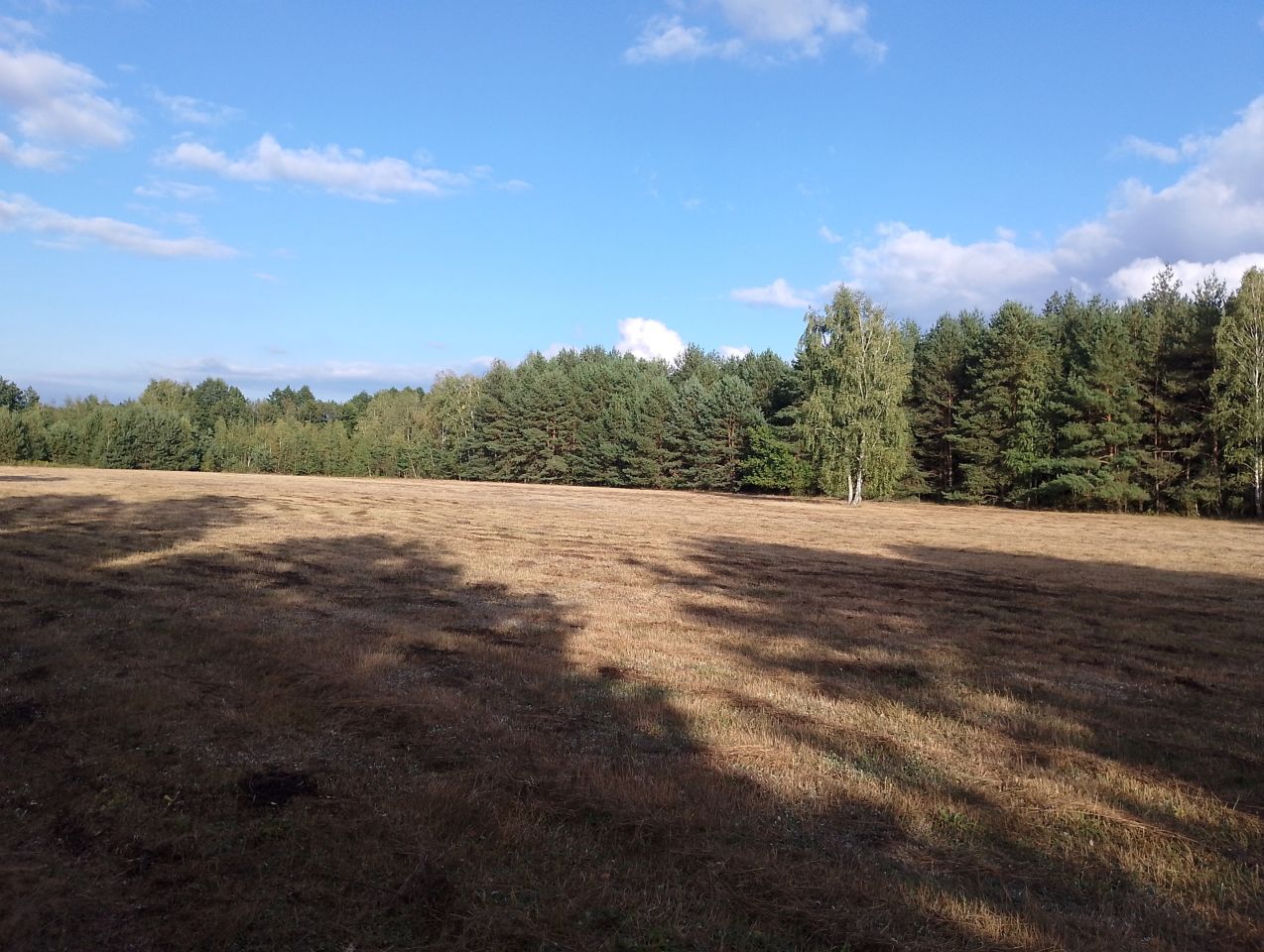 Działka budowlana Franciszków, ul. Jarzębinowa. Zdjęcie 3