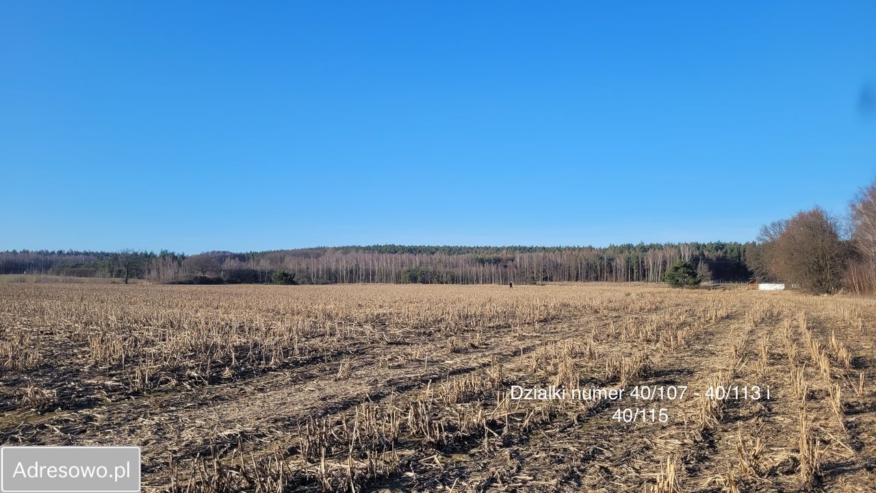Działka budowlana Bądzów. Zdjęcie 6