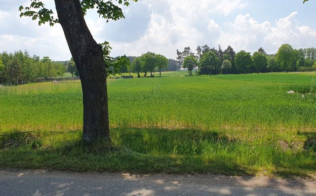 Działka budowlana Nowe Naruszewo. Zdjęcie 1