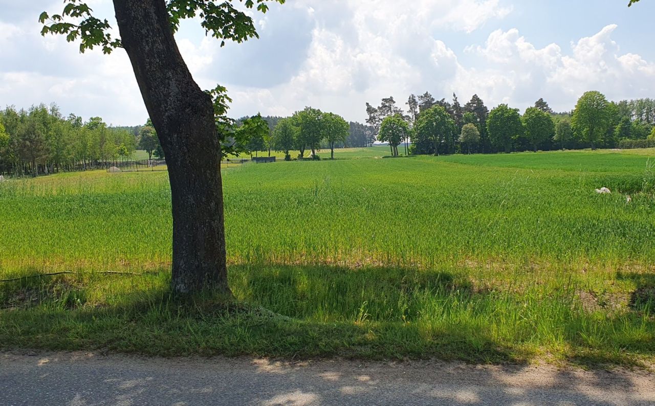 Działka budowlana Nowe Naruszewo. Zdjęcie 1