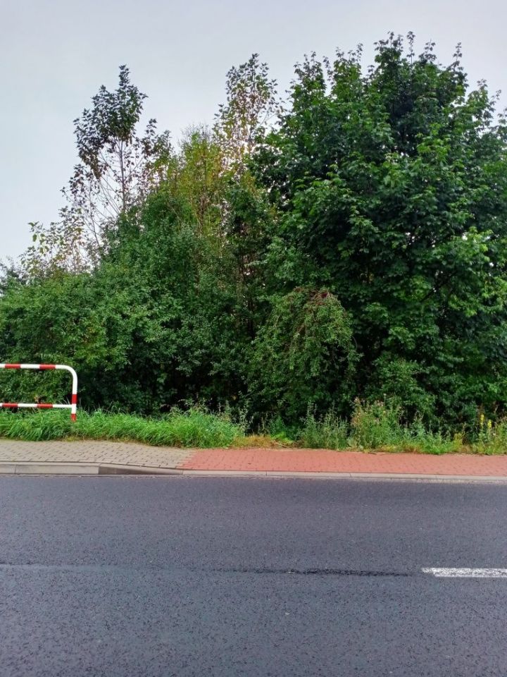 Działka rolno-budowlana Rzędkowice. Zdjęcie 3