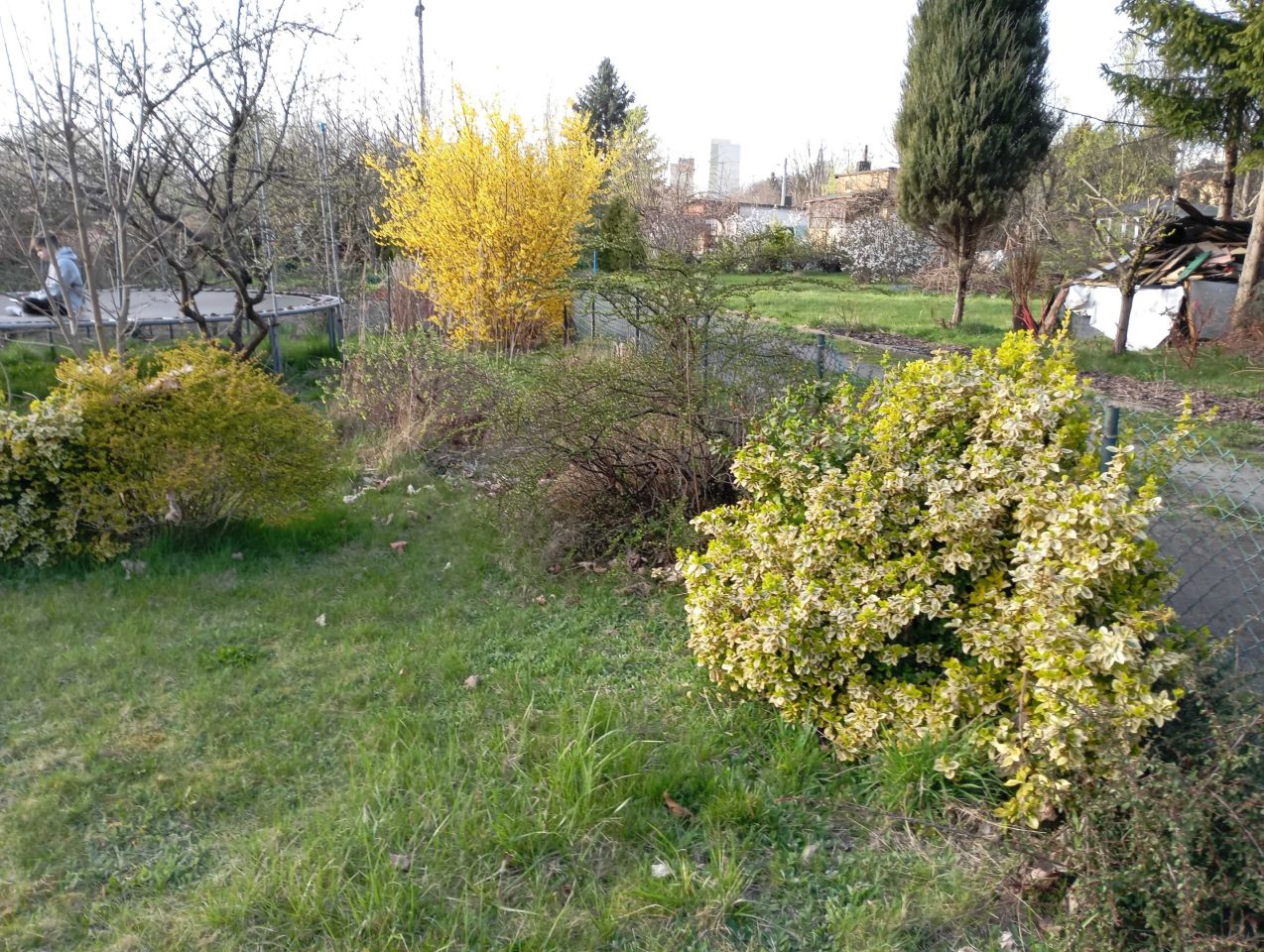 Działka rod Łódź Górna. Zdjęcie 3