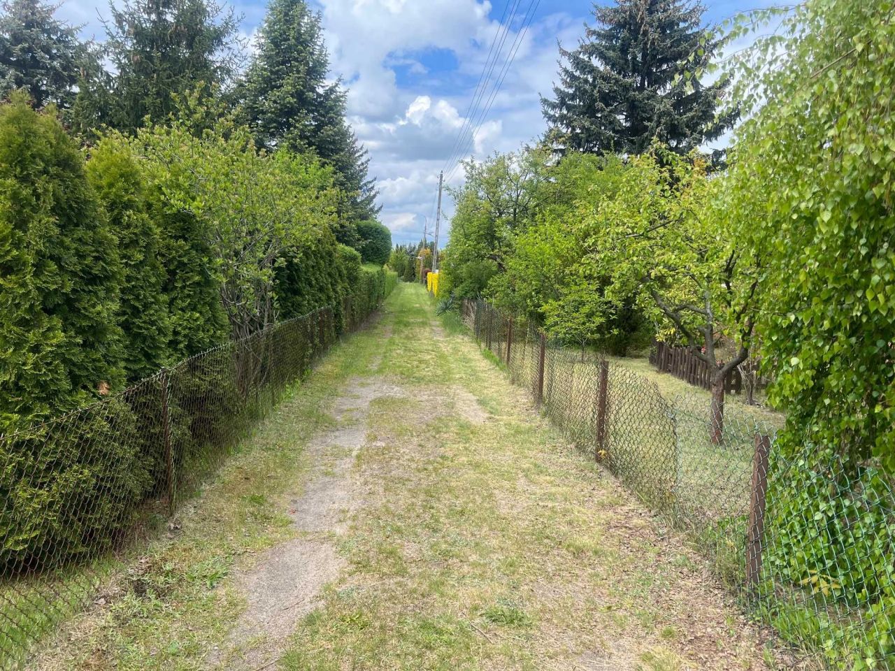 Działka rod Szamoty. Zdjęcie 8