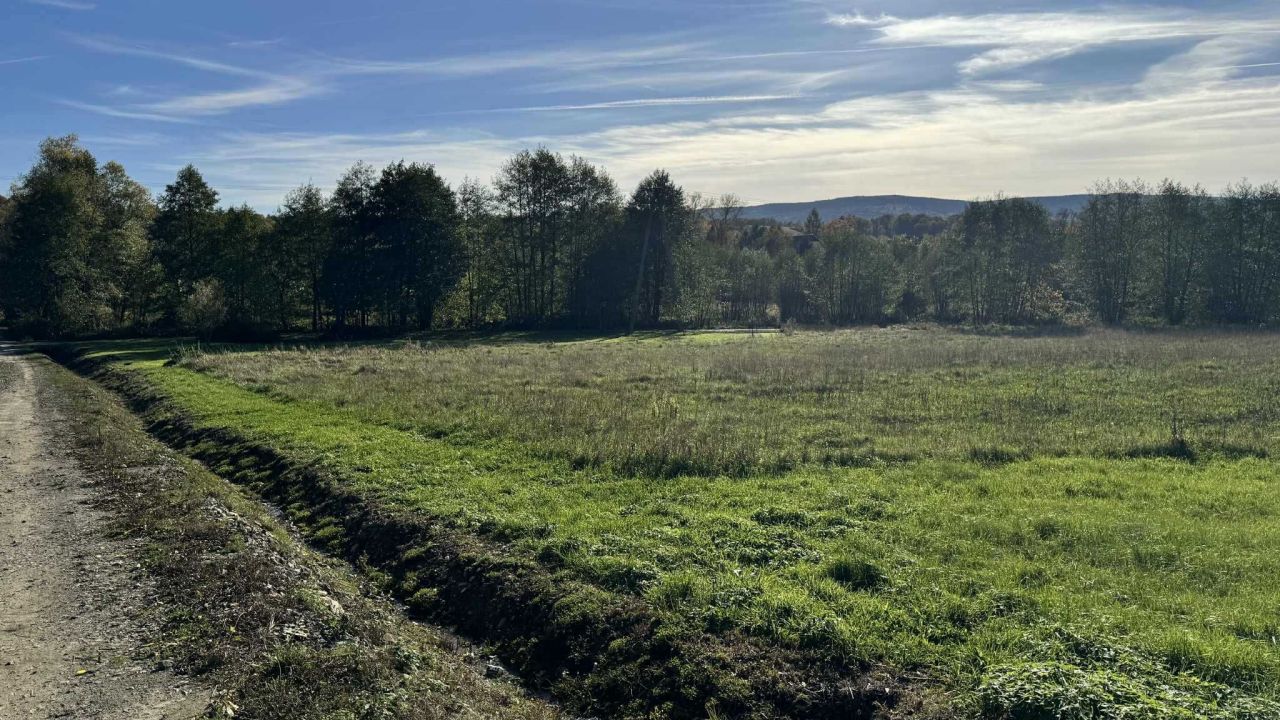 Działka inwestycyjna Stary Wielisław. Zdjęcie 3