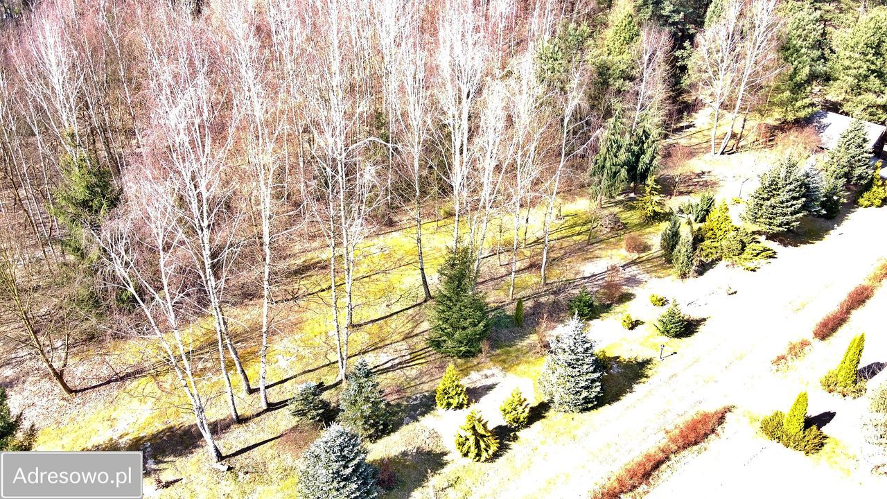 Działka budowlana Gzin, ul. Świerkowa. Zdjęcie 4