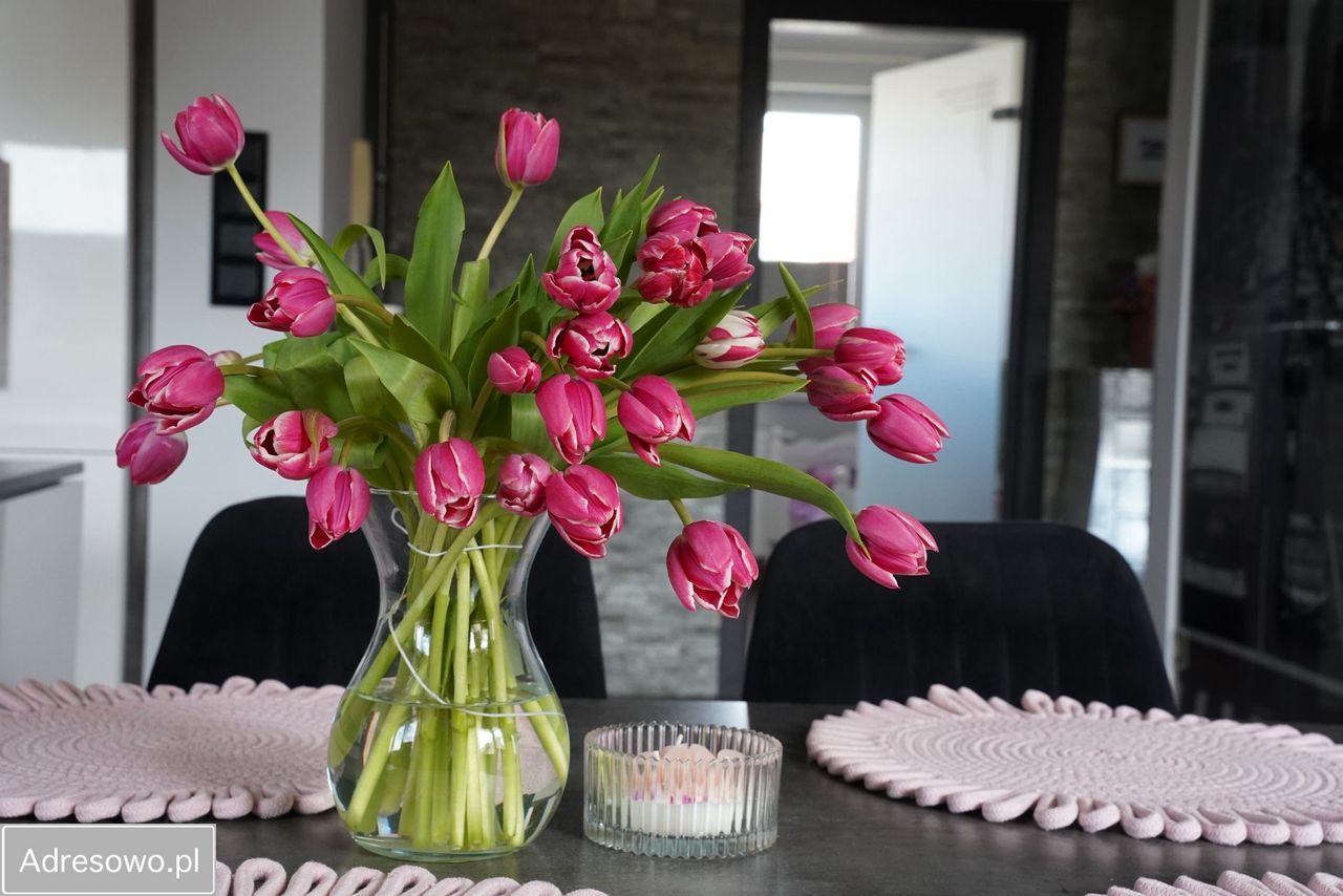 Mieszkanie 3-pokojowe Grudziądz Rządz, ul. Ksawerego Froelicha. Zdjęcie 7