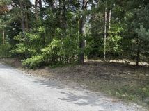 Działka leśna Piekoszów. Zdjęcie 1