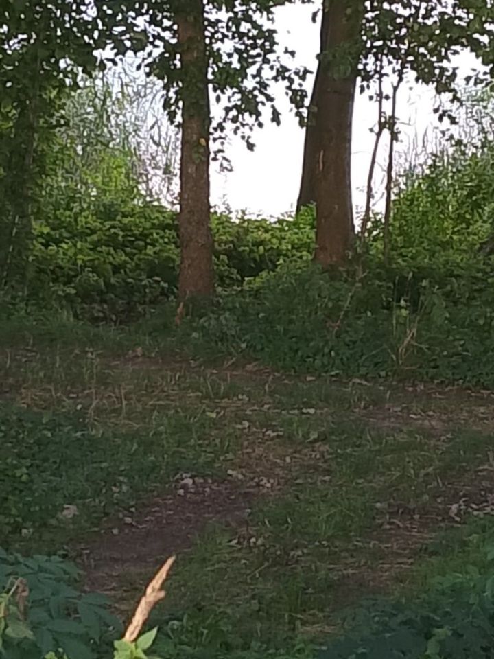 Działka rekreacyjna Wiewiórczyn. Zdjęcie 2