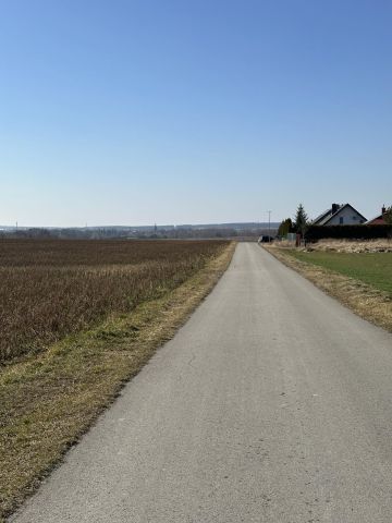 Działka rolna Rosochy Orsztyn. Zdjęcie 1