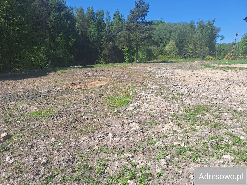 Hala/magazyn Szydłów. Zdjęcie 3