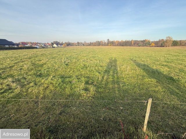 Działka budowlana Krasocin, ul. Kielnik. Zdjęcie 1