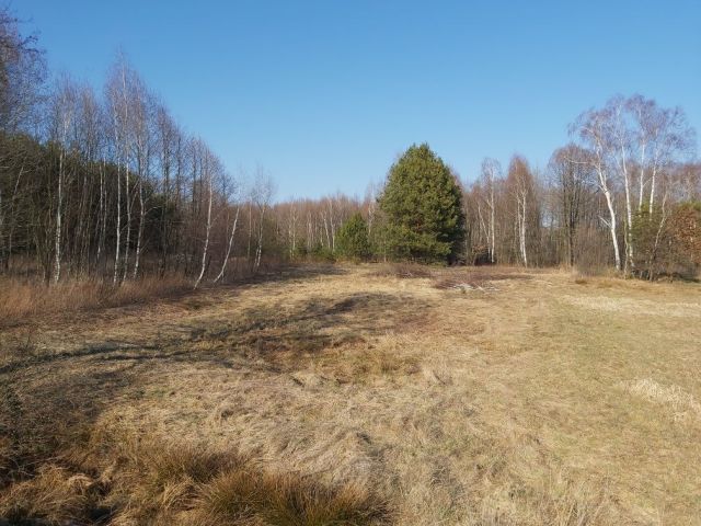 Działka rolno-budowlana Pogwizdów Stary. Zdjęcie 1