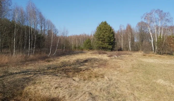 Działka rolno-budowlana Pogwizdów Stary