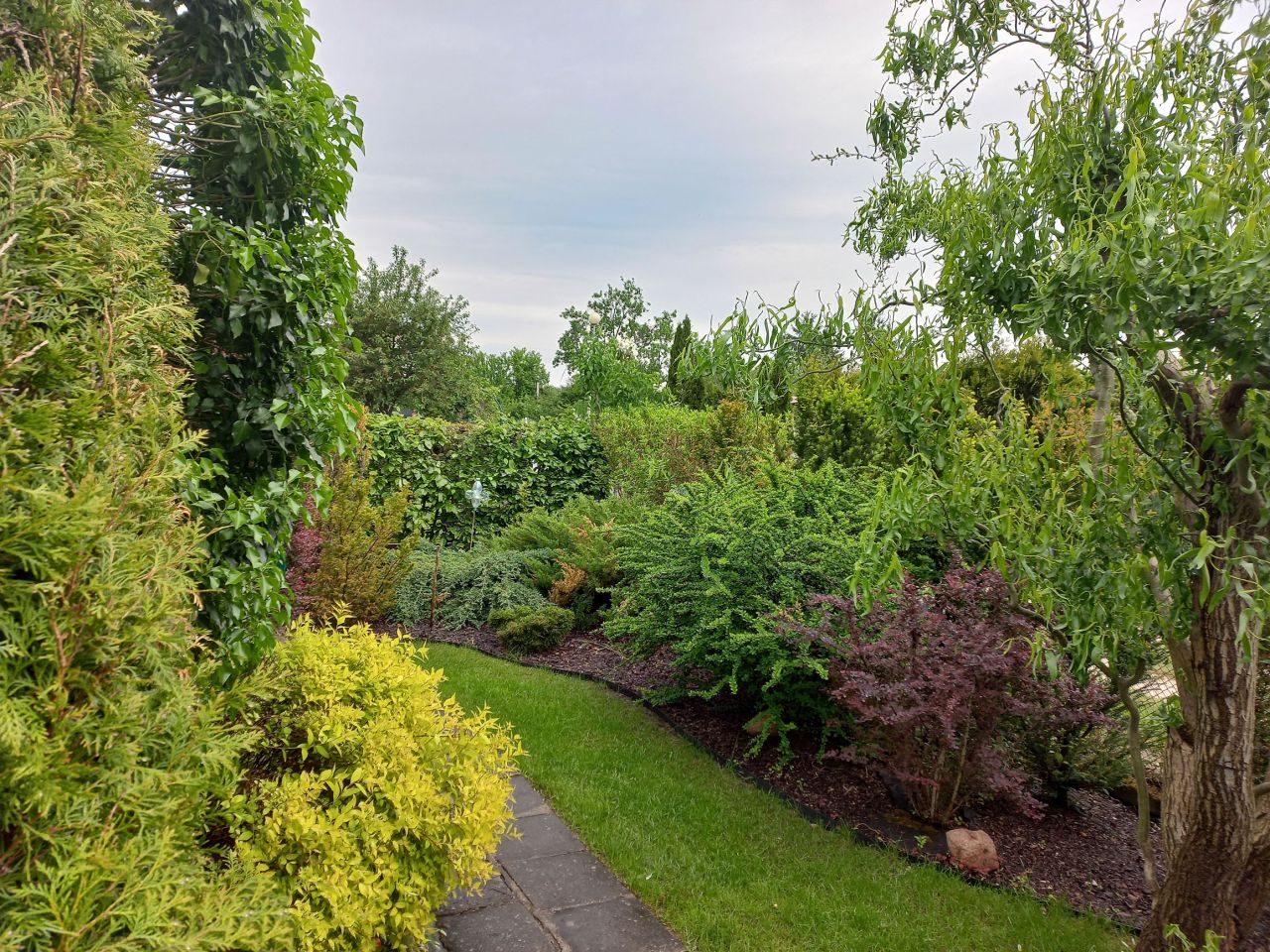 Działka rod Konin Wilków, ul. Świętojańska. Zdjęcie 8