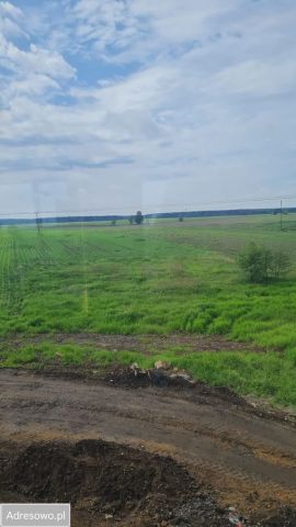 Działka rolna Solniki Wielkie. Zdjęcie 1