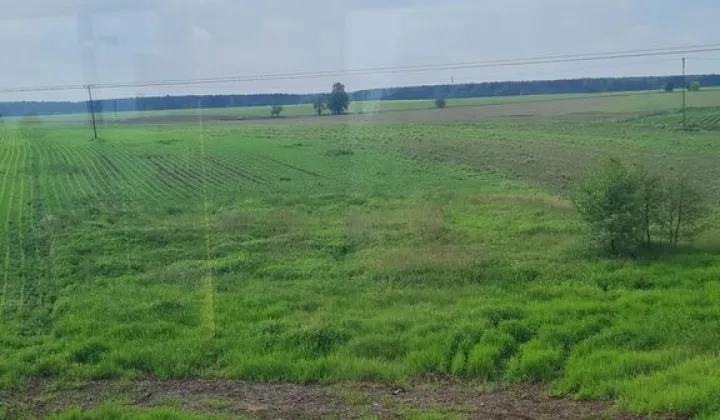 Działka rolna Solniki Wielkie