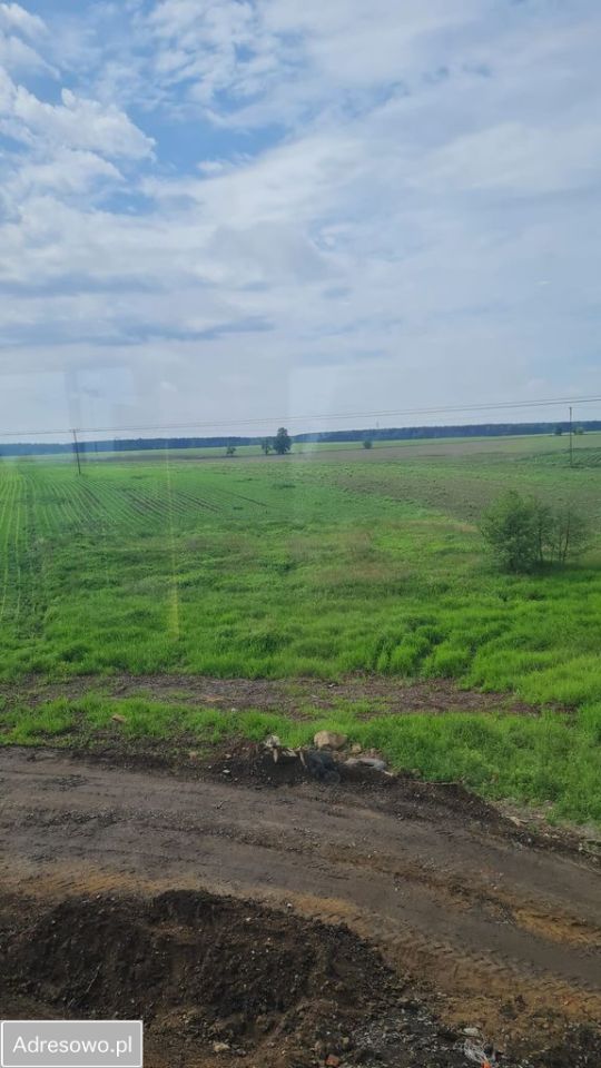 Działka rolna Solniki Wielkie. Zdjęcie 1