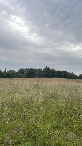 Działka rolno-budowlana Tuchlino. Zdjęcie 10