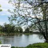 Działka rolno-budowlana Udrzyn. Zdjęcie 3
