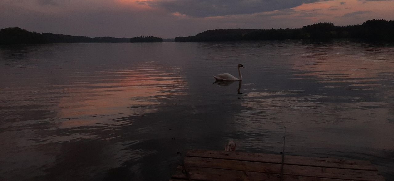 Działka rolna Huta. Zdjęcie 10