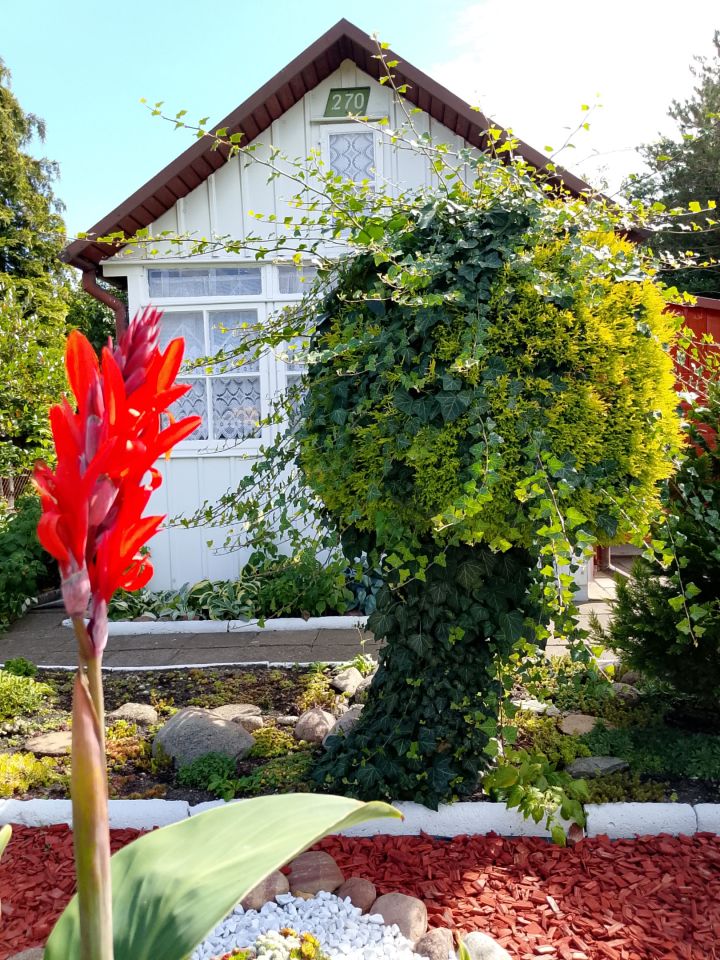 Działka rod Białystok, ul. Adama Mickiewicza. Zdjęcie 4