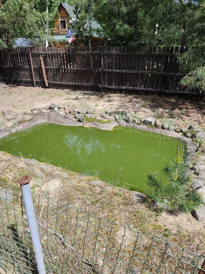 Działka budowlana Zakrzewo Kościelne. Zdjęcie 2