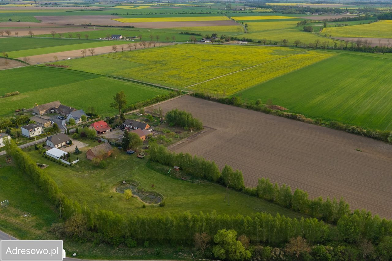 dom wolnostojący, 4 pokoje Miroszka. Zdjęcie 4