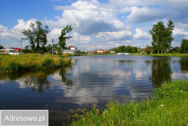 siedlisko, 6 pokoi Lebiedzie. Zdjęcie 4