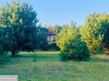 Działka budowlana Częstochowa Grabówka, ul. Gruszowa. Zdjęcie 3