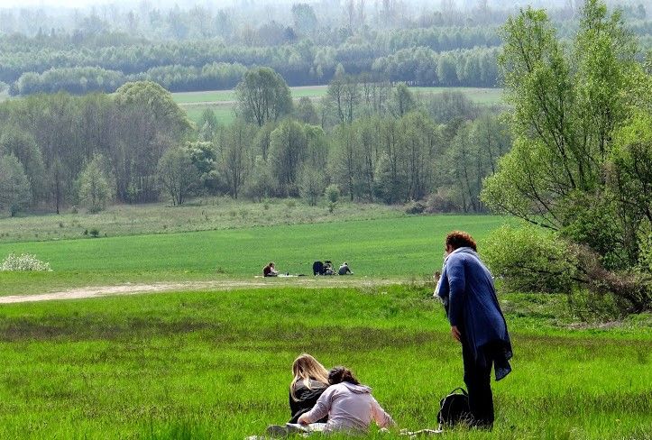 Działka budowlana Strońsko. Zdjęcie 9