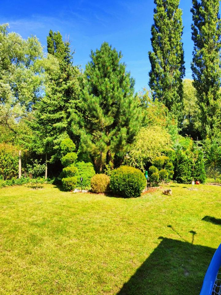 Działka rod Ostrów Wielkopolski, ul. Gorzycka. Zdjęcie 4