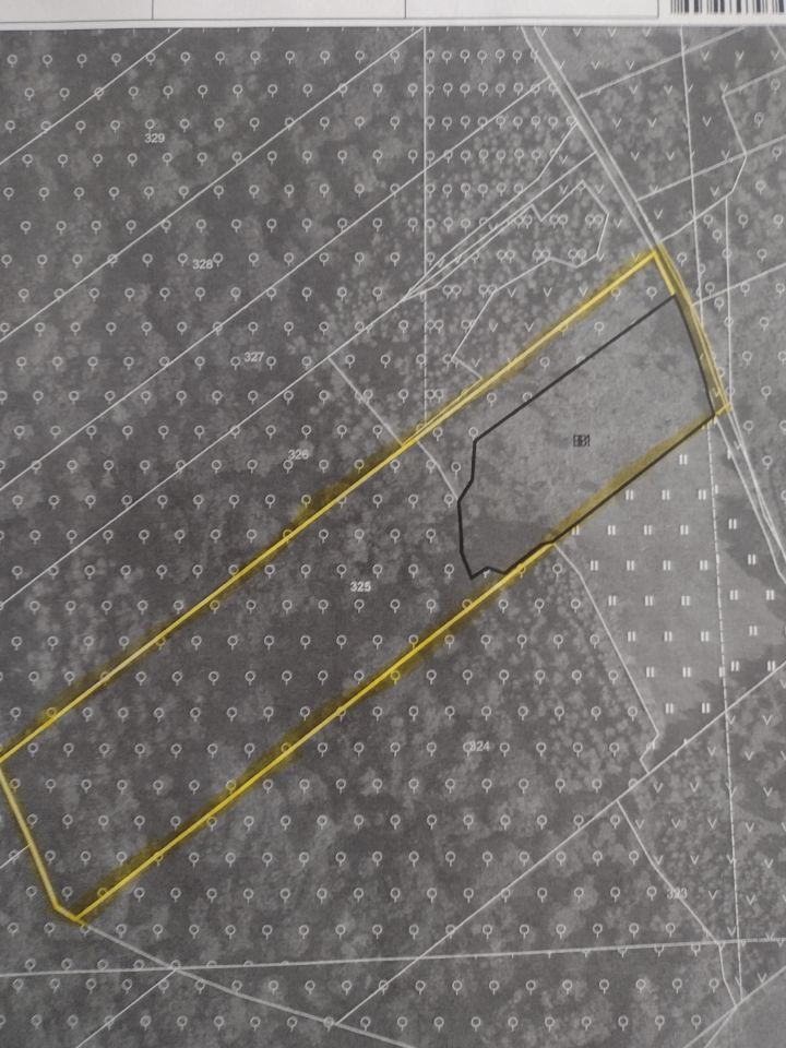 Działka leśna Średnia Wieś. Zdjęcie 3