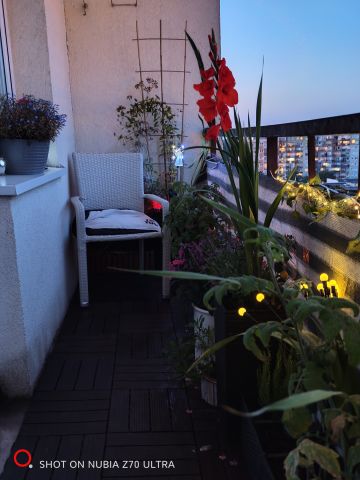 Mieszkanie 2-pokojowe Świnoujście, ul. Szkolna. Zdjęcie 7