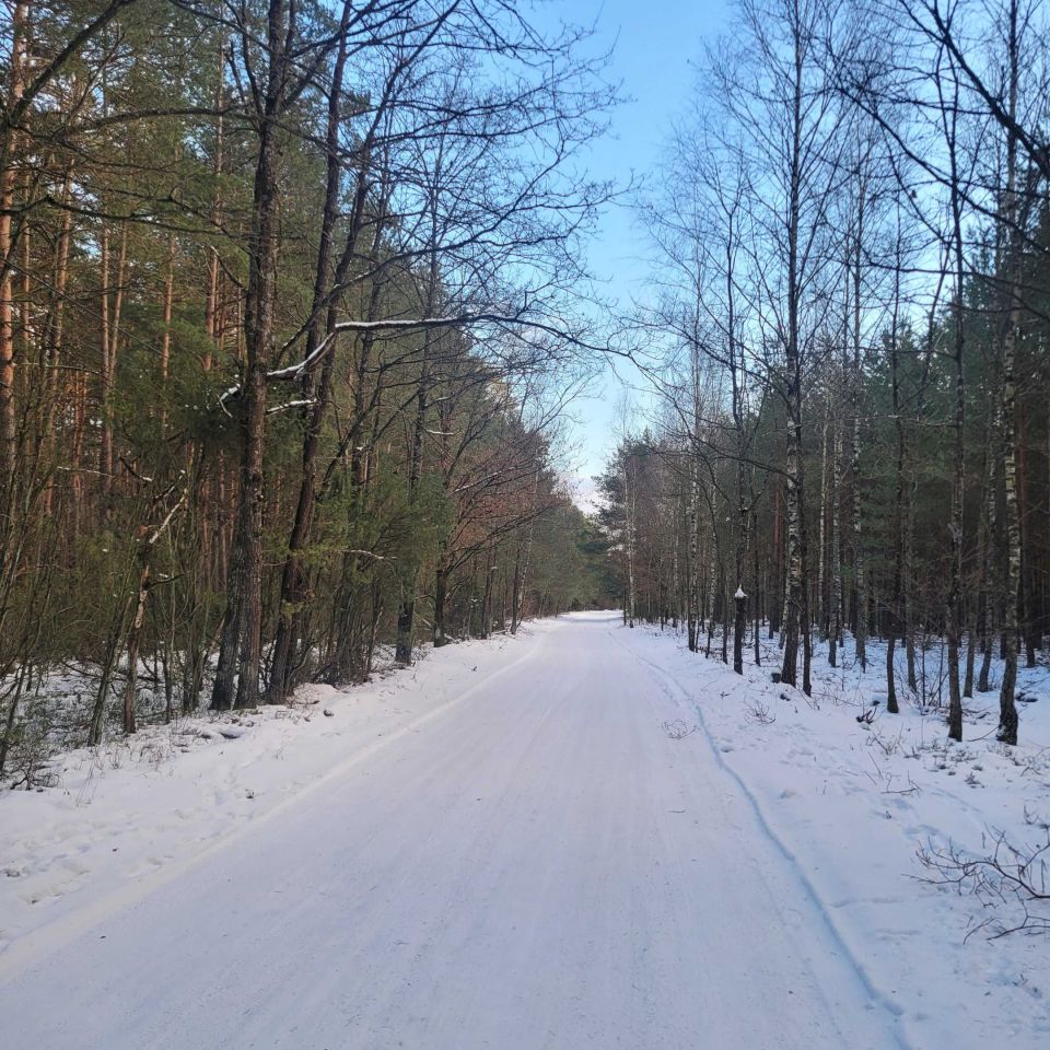 Działka budowlana Rokitnica. Zdjęcie 6