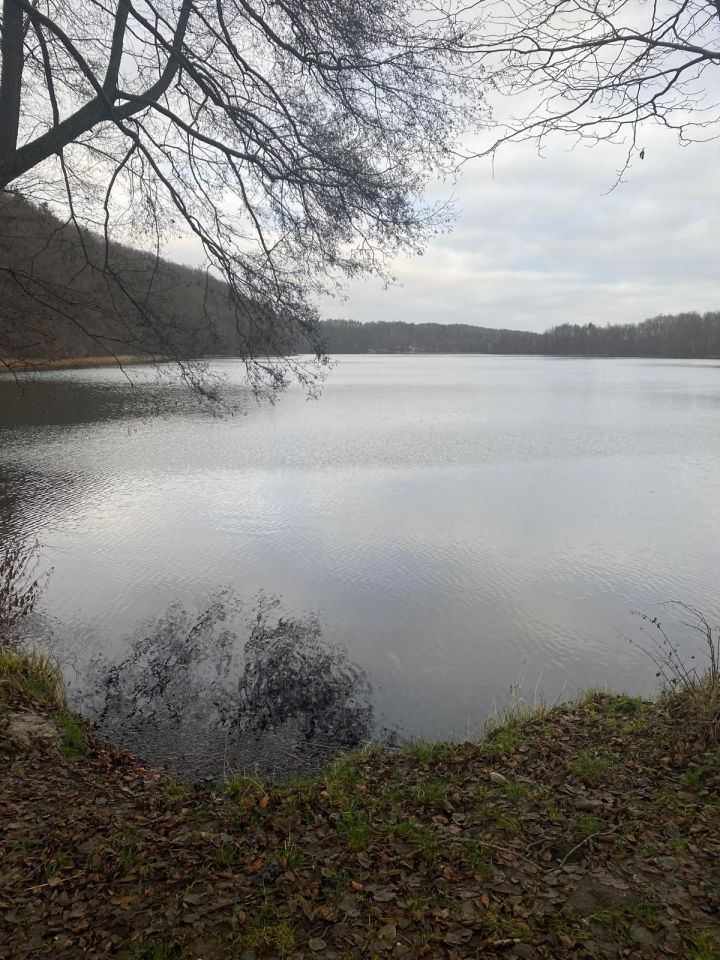 Działka rekreacyjna Michalin. Zdjęcie 2