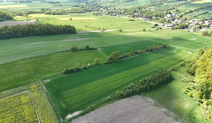 Działka rolna Pomocne